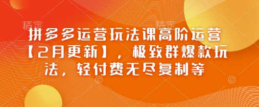 拼多多高阶运营课 群爆款策略&轻付费复制秘籍更新