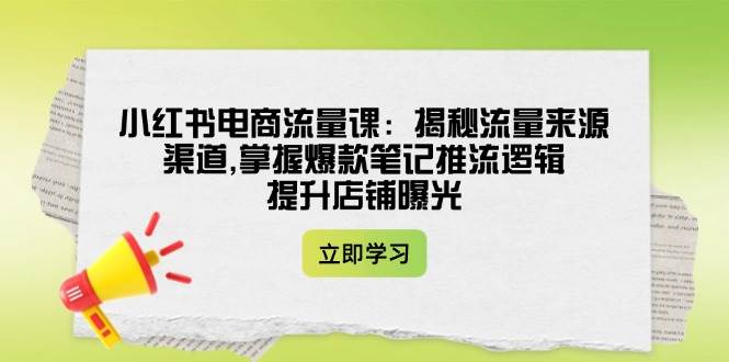 小红书电商流量课 揭秘爆款笔记推流 店铺曝光翻倍秘籍-九零创业网