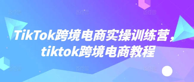 TikTok跨境电商实战速成课 一学就会