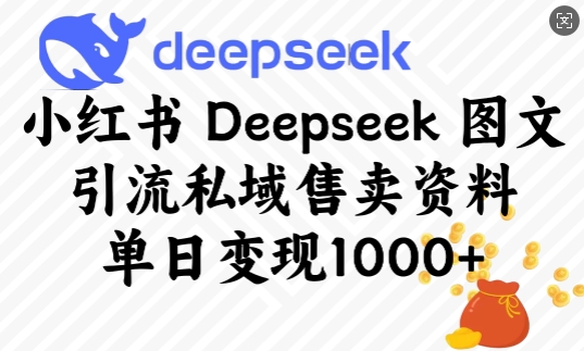 小红书Deepseek图文引流 私域资料日销爆单多张