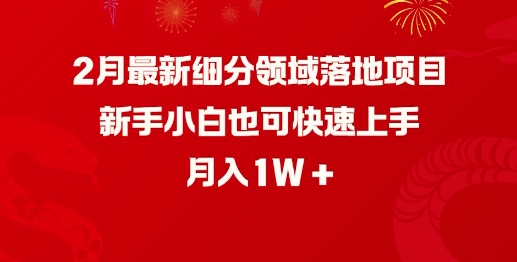 2月新项目速成指南 小白月入万元轻松入门
