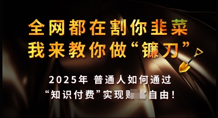 月入过W+知识付费秘诀 2025镰刀打造指南-九零创业网