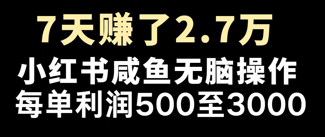 2025年逆势崛起 最赚钱项目再掀热潮-九零创业网