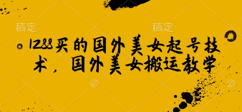 揭秘国外美女搬运术 1288元解锁美图秘籍-九零创业网