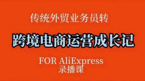 速卖通运营秘籍 实战方法论+后台技巧全解析