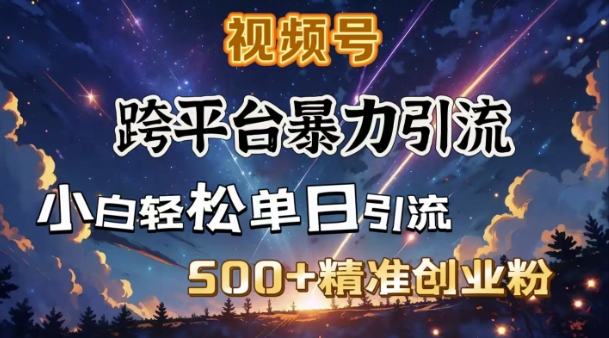 跨平台暴力引流 私域闭环日增500+精准创业粉秘诀-九零创业网