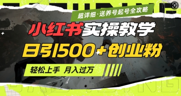小红书创业粉日增500+ 小白月入过万攻略