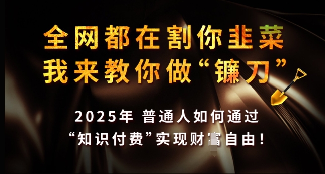 2025知识付费攻略 打造镰刀 迈向财富自由之路-九零创业网