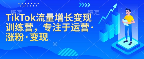 TikTok流量涨粉变现营 运营秘籍 快速变现-九零创业网