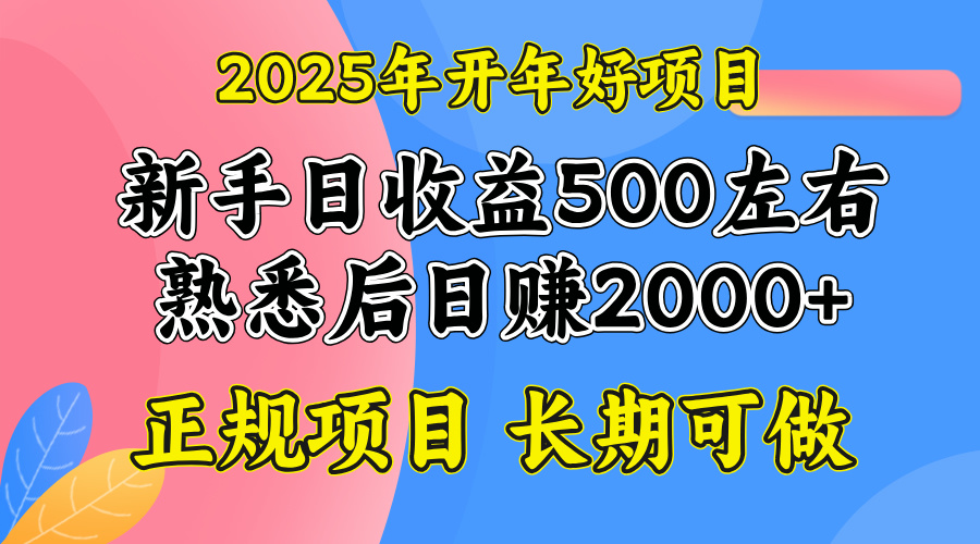 2025新春好项目 单日收益2000+ 财富加速器来袭-九零创业网