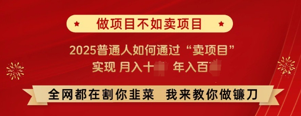 2025年 普通人月入十 年入百 卖项目攻略揭秘-九零创业网