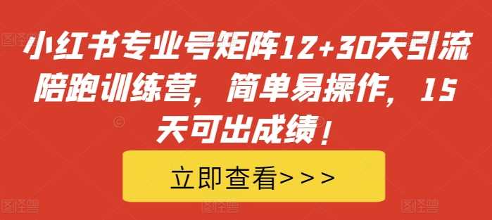 12+30天小红书矩阵引流营 15天见效 轻松操作-九零创业网