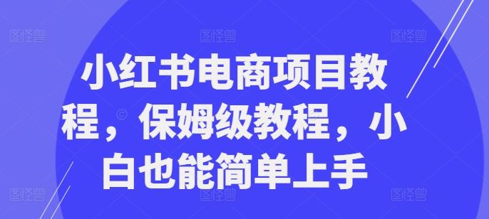 小红书电商入门宝典 小白快速上手教程-九零创业网