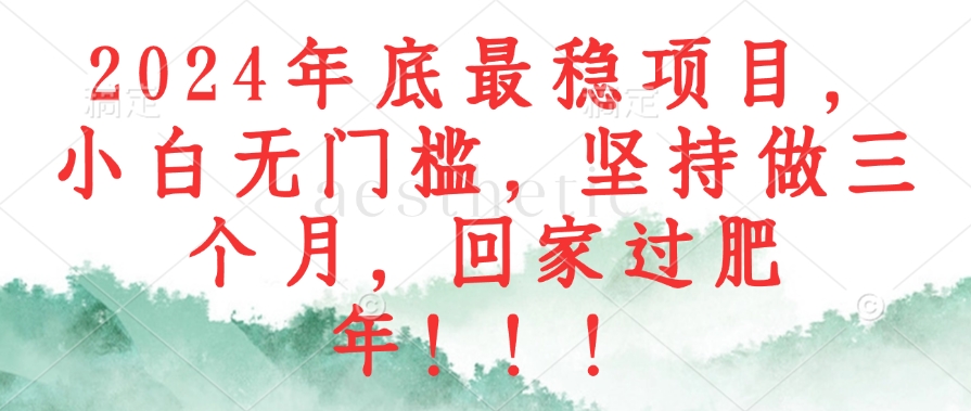 2024年稳赚项目 小白轻松上手 三个月肥年回家-九零创业网