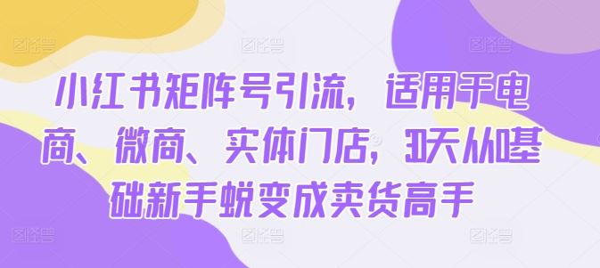 30天小红书矩阵号引流达人 电商微商门店卖货高手速成-九零创业网