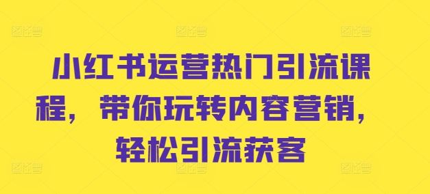 小红书热门引流秘籍 轻松玩转内容营销 快速获客-九零创业网