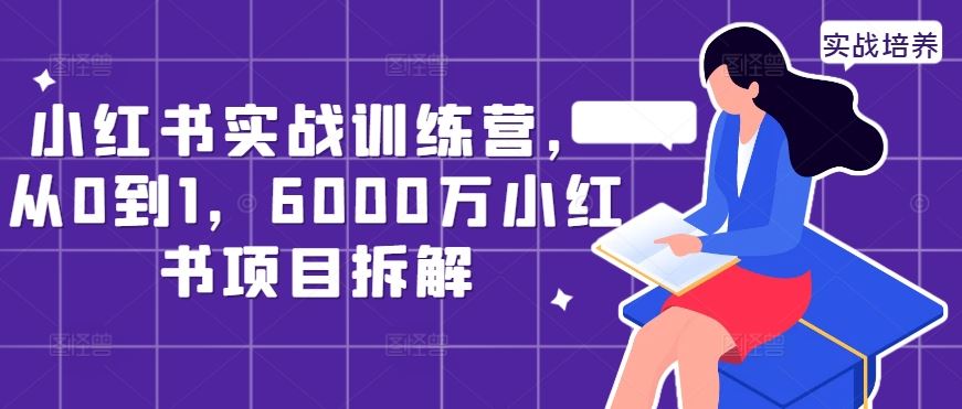 从0到6000万 小红书实战训练营项目深度拆解攻略