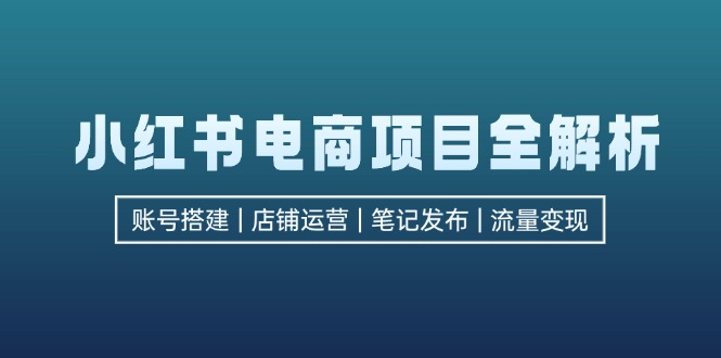 小红书电商全攻略 账号搭建 运营 笔记发布流量变现秘籍-九零创业网