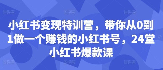 从零开始 24天打造小红书赚钱达人-九零创业网