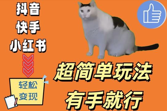 猫咪视频轻松赚 日入500+ 新手必看-九零创业网