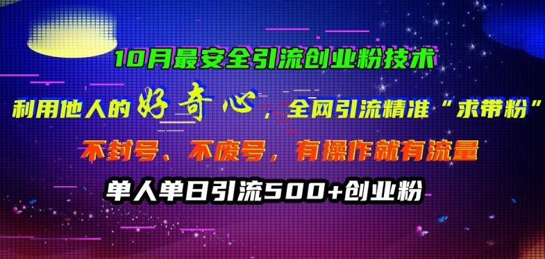 全网揭秘 10月安全带粉引流术 好奇者必看-九零创业网