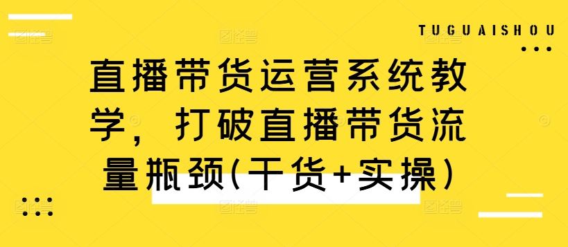 直播带货流量突破秘籍 系统教学+实操攻略-九零创业网