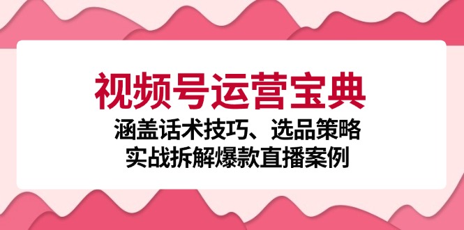 视频号运营秘籍 话术攻略+选品策略+爆款直播拆解-九零创业网
