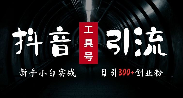 2024抖音新工具号 日吸300粉 小白速成变现达人