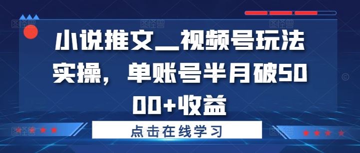 小说推文视频号速成 半月破5000+收益秘诀-九零创业网