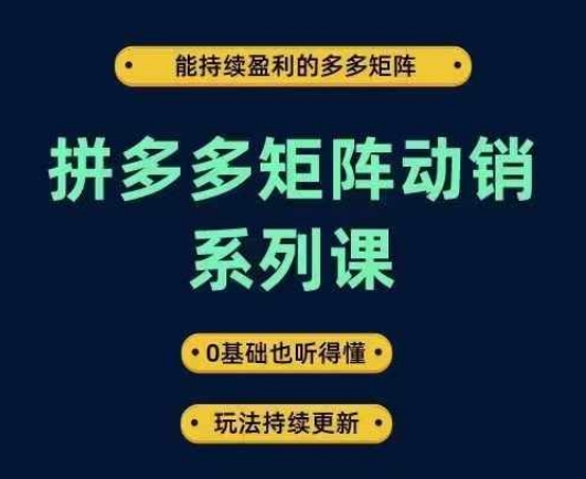 拼多多矩阵动销课 新手友好 盈利矩阵 玩法更新不停