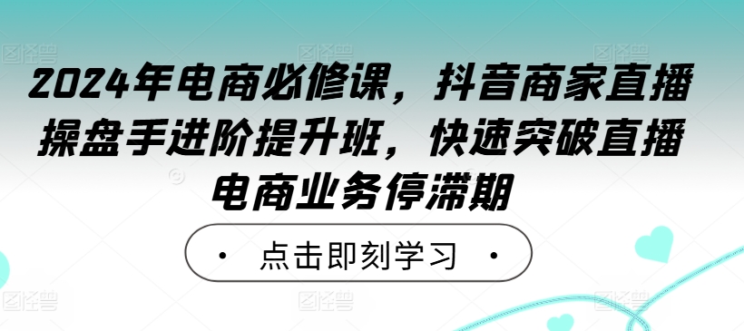 2024电商必修 抖音直播操盘手 突破停滞 赢在起跑线-九零创业网