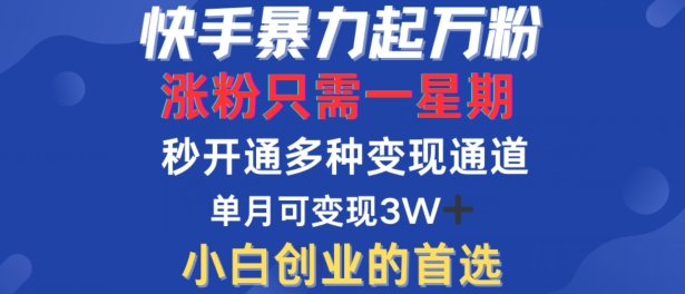 快手快速涨粉秘籍 一周万粉 月入过万变现攻略-九零创业网