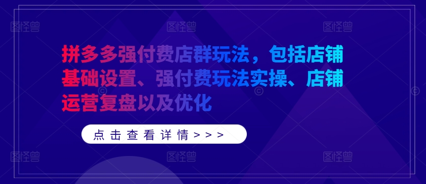 拼多多强付费店群攻略 设置 实操 复盘与优化技巧-九零创业网