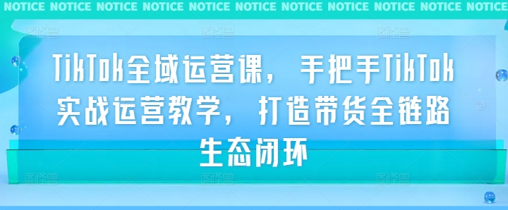 TikTok实战带货全链路 全域运营课手把手教学-九零创业网