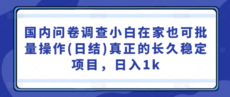 揭秘在家日结1k 问卷调查批量操作稳定项目-九零创业网