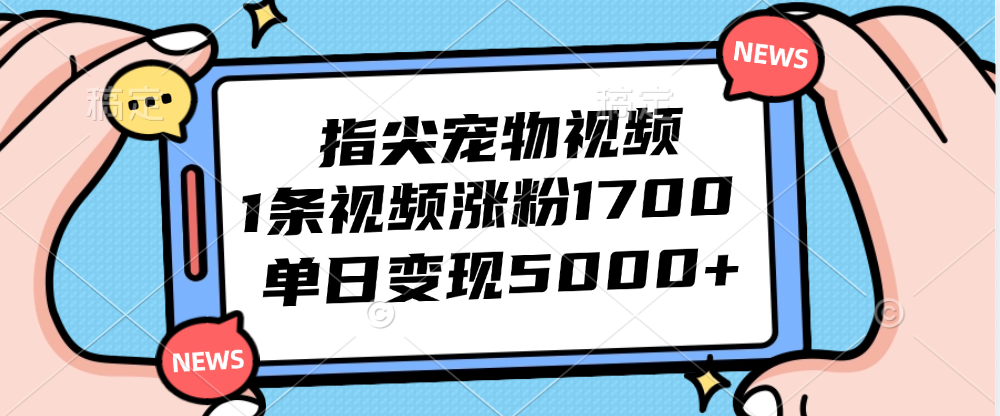 12549期指尖宠物 一视频狂揽1700粉 日入过万
