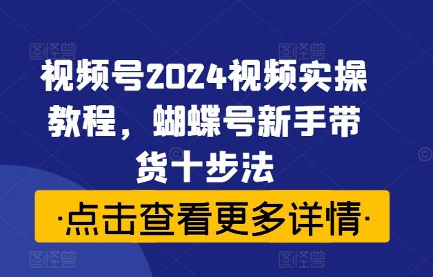 蝴蝶号新手带货 2024视频实操十步速成法-九零创业网