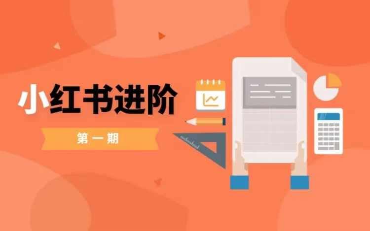 小红书变现速成 小白实战 轻松赚钱攻略-九零创业网