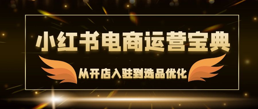 小红书电商全攻略 开店到优化 一册搞定-九零创业网