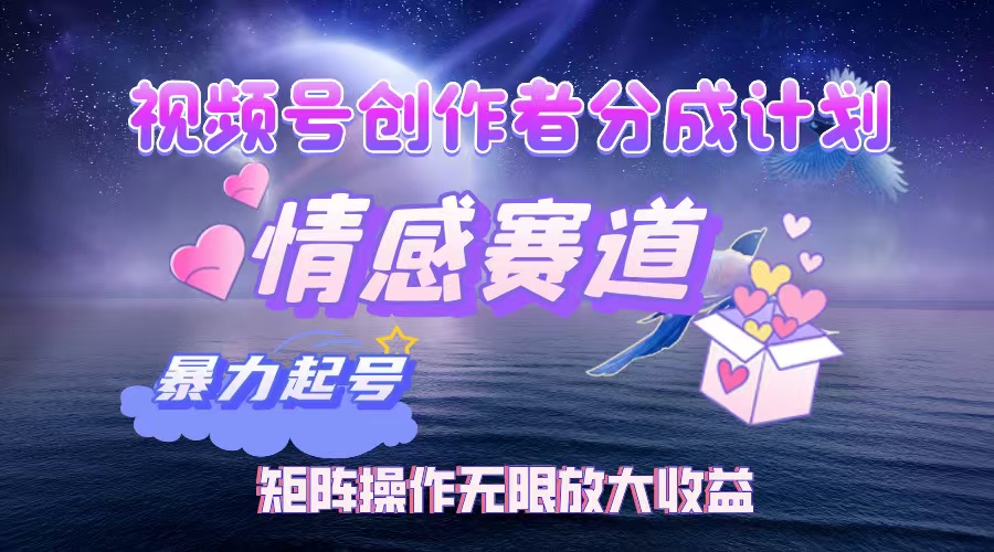 12461期视频号情感赛道 暴力起号月入3W+税后 矩阵攻略揭秘