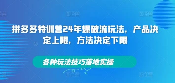 拼多多特训营24年 产品定高线 技巧拓底线 实操爆破赢未来