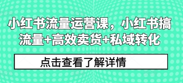小红书流量运营课 高效搞流量 卖货转化双赢秘籍