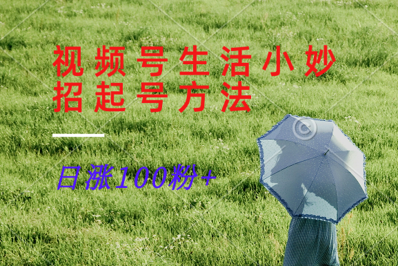 视频号新玩法 日增百粉 生活小妙招速来学