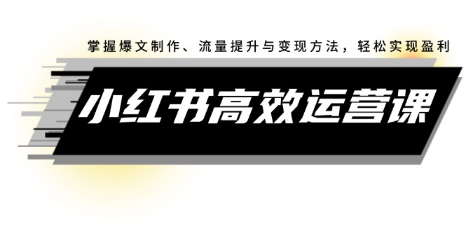 12369期小红书运营秘籍 打造爆文 流量翻倍 轻松盈利