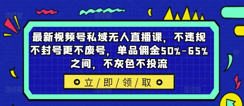 视频号私域无人直播课 合规高佣 轻松带货 稳赚不赔-九零创业网