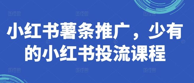 揭秘小红书薯条爆款秘籍 独家投流课程大放送-九零创业网