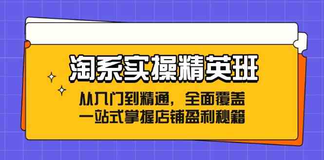 淘系实操精英班 入门精通 盈利秘籍一站式掌握-九零创业网