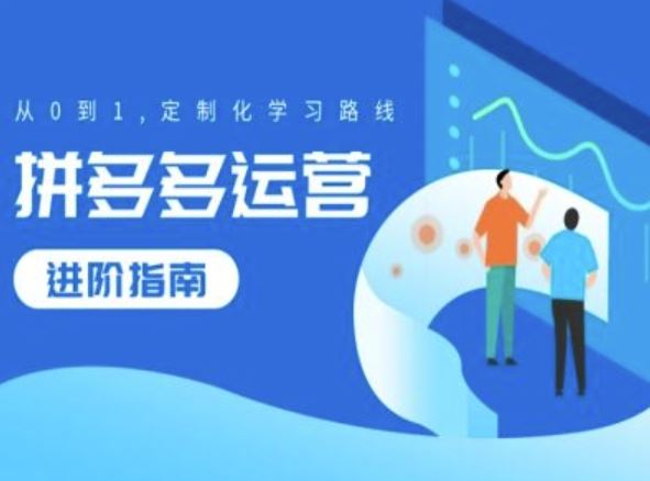 拼多多运营进阶 从0到1定制化学习攻略-九零创业网