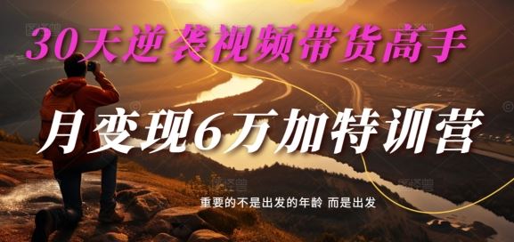 30天逆袭带货达人 月入6万特训营速成记-九零创业网