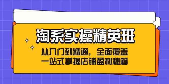 淘系实操精英班 精通店铺盈利 一站式入门指南
